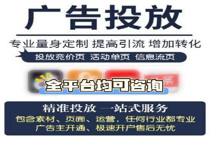 成功SEM推广代运营案例分享